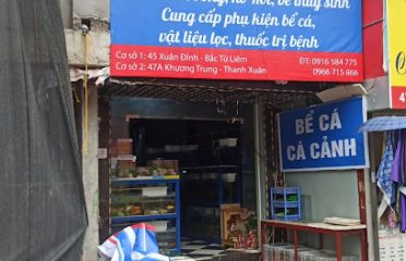 Cá Cảnh Tuân Dương