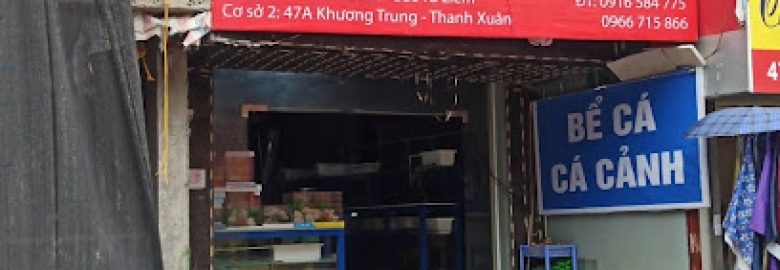 Cá Cảnh Tuân Dương