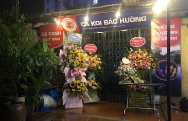 Cá Cảnh và Cá Koi Nhật Bác Hường