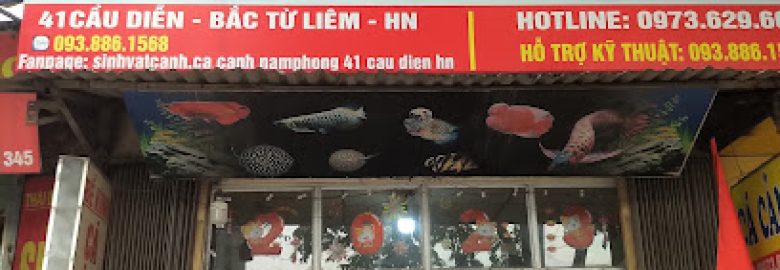 Cá cảnh Nam Phong