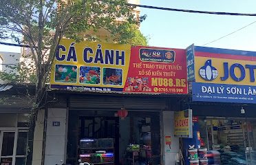 Cá cảnh viết hà