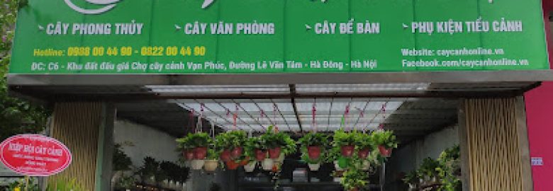 Cây Cảnh Hà Nội – Chợ Vạn Phúc Hà Đông