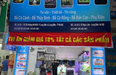 Cửa Hàng Bể Cá Cảnh Quảng Nam Aquarium