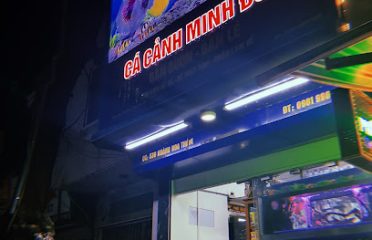 Cửa Hàng Cá Cảnh Minh Đức