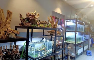 Lavie’s Aquarium