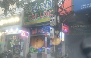 bể cá Tài Lộc Minh Đức