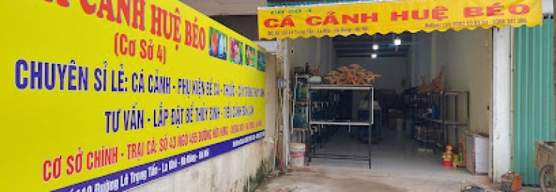 cá cảnh huệ béo cơ sở 4