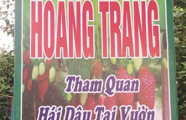 CHUYÊN SỈ LẺ DÂU ĐÀ LẠT – HOÀNG TRANG