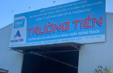 CÔNG TY CỔ PHẦN KINH TẾ VÀ THƯƠNG MẠI TRƯỜNG TIẾN