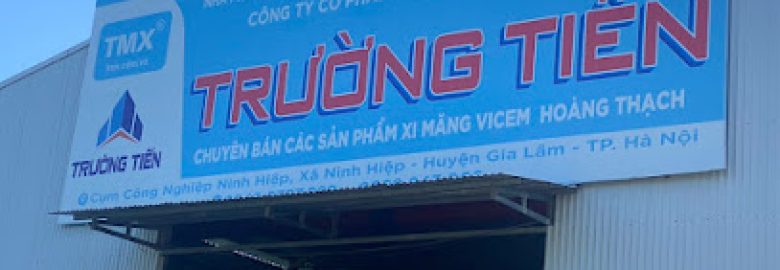 CÔNG TY CỔ PHẦN KINH TẾ VÀ THƯƠNG MẠI TRƯỜNG TIẾN