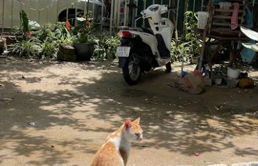 Cơm Nhà Homestay