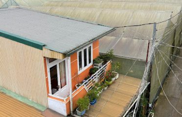 Homestay. Mai Anh Đào 1