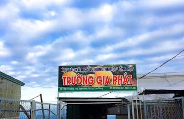 Hồng treo Trường Gia Phát