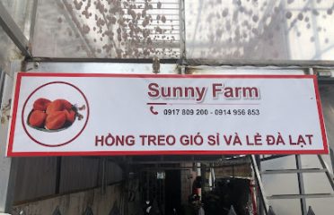 Hồng treo gió sỉ và lẻ Đà Lạt – Sunny Farm