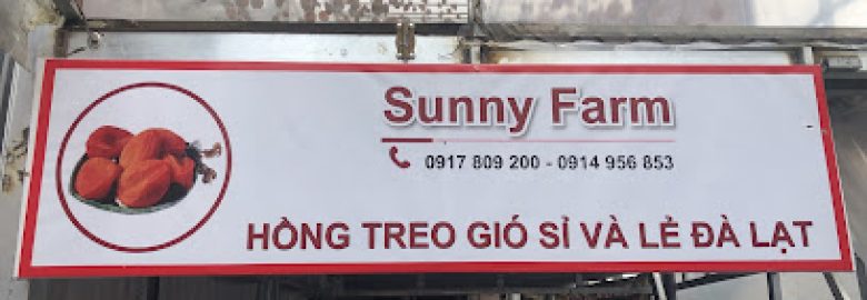 Hồng treo gió sỉ và lẻ Đà Lạt – Sunny Farm