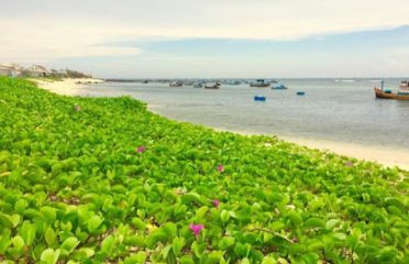 Island View Beachfront