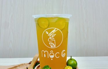 Mộc C – Đậm Vị Thiên Nhiên