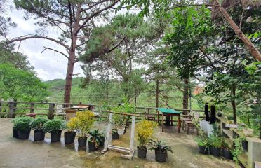 MoonHill Homestay Đà Lạt