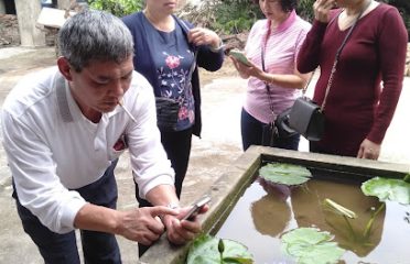 Ngọc Linh Spa