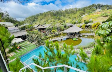 Romantic House On A Pine Hill – Đồi Lộng Gió