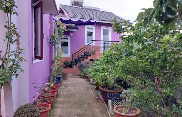 Thai Tran Guesthouse