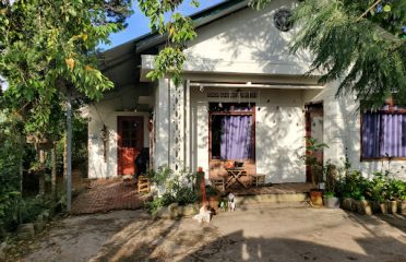 Thanh Hoài Homestay