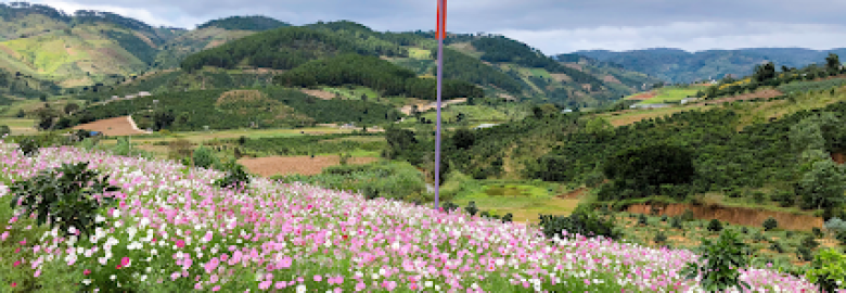 Thung lũng hoa Tà Nung