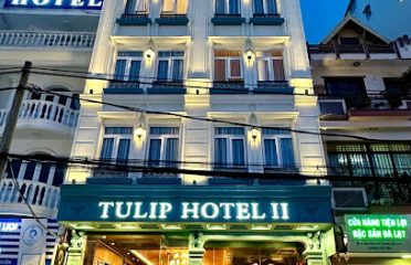 Tulip Hotel 2