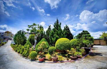 Tùng Bách Đà Lạt Garden