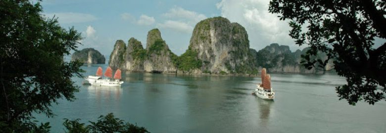 Bai Tu Long Bay Tours