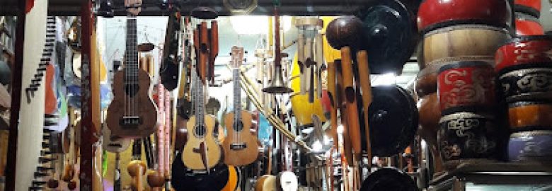 Bích Hương – Vietnamese musical instrument store