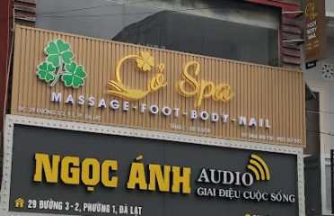 Cỏ Spa