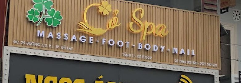 Cỏ Spa