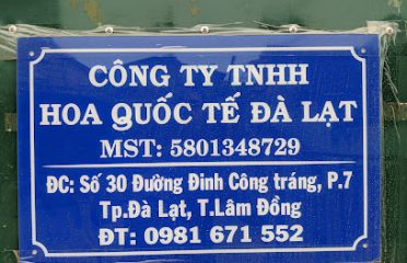 Công Ty Tnhh Du Lịch Văn Hóa Bản Địa Việt