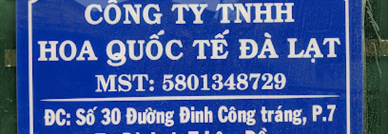 Công Ty Tnhh Du Lịch Văn Hóa Bản Địa Việt