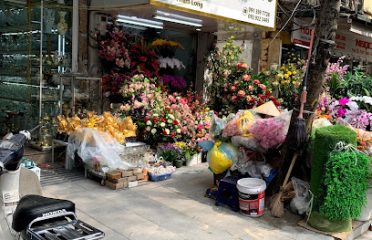 Cửa Hàng Tuấn Vân Thế Giới Hoa