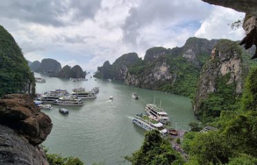 Hoàng Long Travel – 50 Hang Bo street