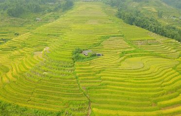 Mạnh Lan