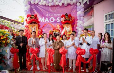 Mao spa trị liệu Đông Y