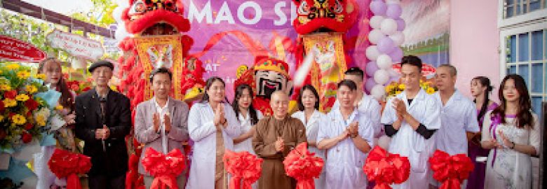 Mao spa trị liệu Đông Y