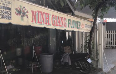 Ninh Giang Flower