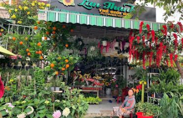 SHOP HOA LAN THANH