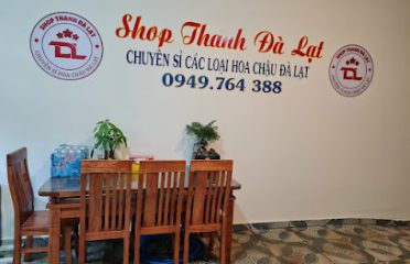 Shop Hoa Chậu Thanh Đà Lạt