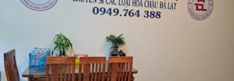 Shop Hoa Chậu Thanh Đà Lạt