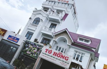 Shop Hoa Tươi Tơ Hồng