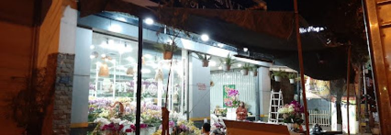 Shop hoa TiTi Flower