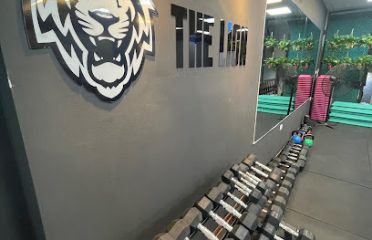 The Lion – Private Fitness (Phòng tập HLV kèm 1:1)