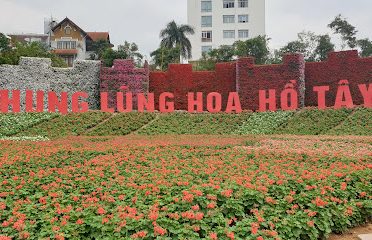 Thung lũng hoa hồ Tây