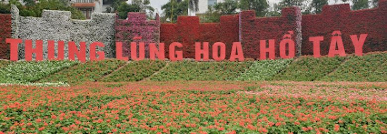 Thung lũng hoa hồ Tây