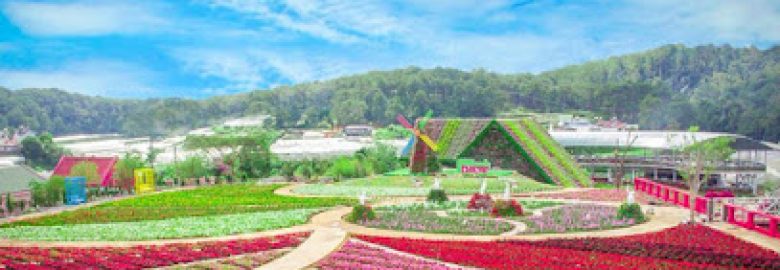 Tour Đà Lạt 1 ngày giá rẻ – Công ty Hoa Dalat Travel